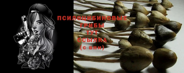 гашик Богородицк