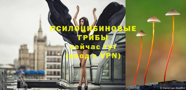 гашик Богородицк