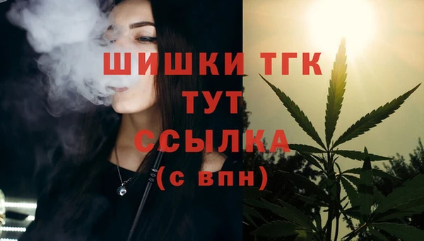 гашик Богородск