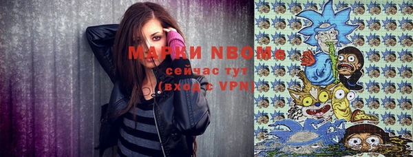 соль ск Богданович