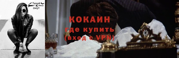 гашик Богородск