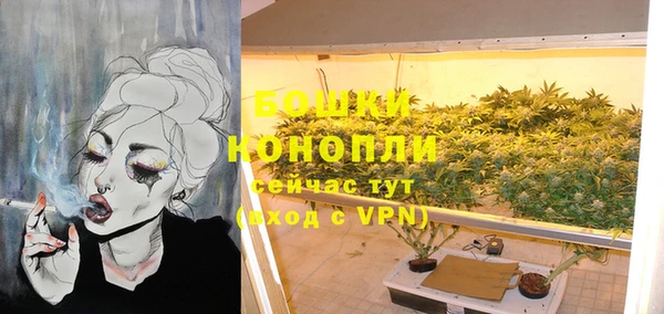 соль ск Богданович