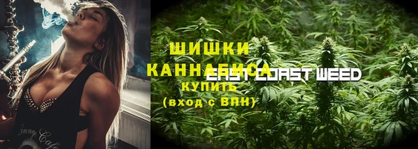 соль ск Богданович