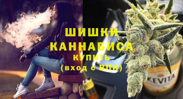 гашик Богородск