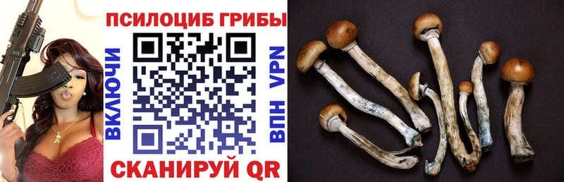 Псилоцибиновые грибы мухоморы  Кириши 